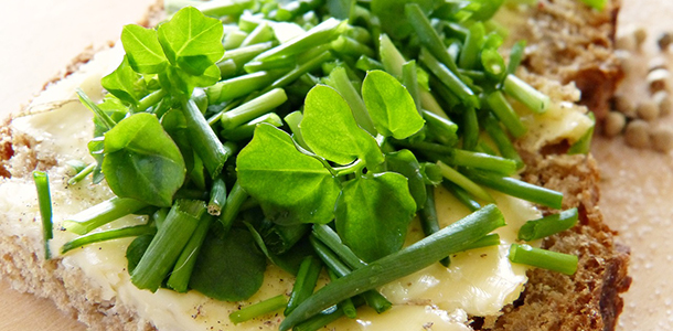 Eine ballaststoffreiche und vollwertige Ern&auml;hrung kann die Gesundheit st&auml;rken und senkt das Risiko f&uuml;r chronische Krankheiten, wie eine Meta-Analyse zeigt.