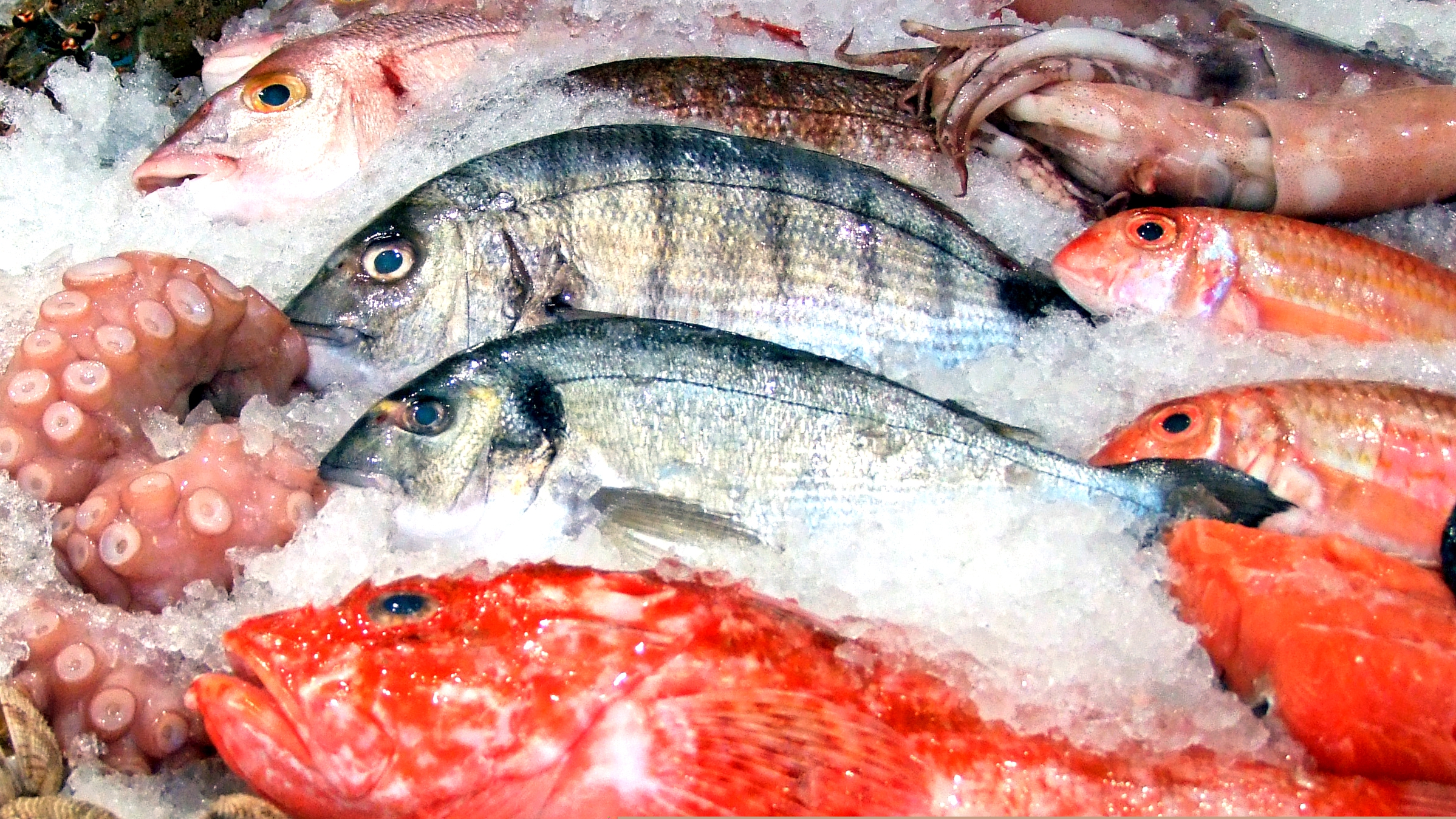 Fisch gilt als sehr gesund, vor allem wegen seines Gehalts an Omega-3-Fetts&auml;uren. Sie k&ouml;nnen z. B. das Herz-Kreislauf-System positiv beeinflussen.