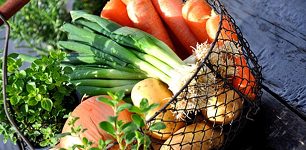 Vegetarisch und vegan auch f&uuml;r Kinder und Jugendliche?