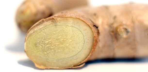 Die gesundheitlichen Wirkungen von Ingwer sind seit langem bekannt. Dazu geh&ouml;ren der Einfluss auf die Verdauung sowie die Linderung von Schmerzen