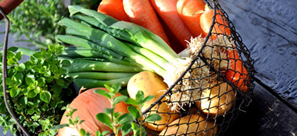 Trotz Nahrungs&uuml;berfluss: Kindern und Jugendlichen fehlen oft Mikro-N&auml;hrstoffe 