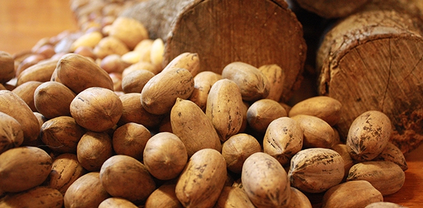 Neue Bedarfswerte f&uuml;r Zink und Vitamin B6